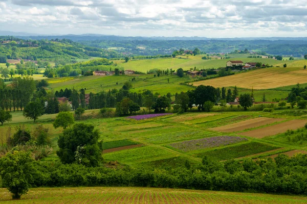 Landsbygdslandskap Monferrato Unescos Världsarv Nära Calliano Asti Provinsen Piemonte Italien — Stockfoto