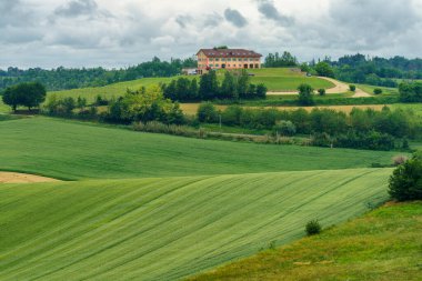 Monferrato 'daki kırsal alan, Unesco Dünya Mirası Bölgesi. Cuccaro yakınlarındaki üzüm bağı, Alessandria ili, Piedmont, İtalya