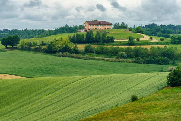 Monferrato 'daki kırsal alan, Unesco Dünya Mirası Bölgesi. Cuccaro yakınlarındaki üzüm bağı, Alessandria ili, Piedmont, İtalya