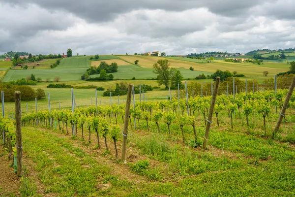 Rural Landscape Monferrato Unesco World Heritage Site Calliano Asti Province — Stock Photo, Image