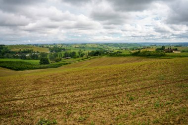 Monferrato 'daki kırsal alan, Unesco Dünya Mirası, Calliano, Asti bölgesi, Piedmont, İtalya. Üzüm bağları