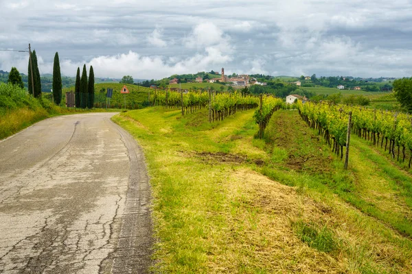 Rural Landscape Monferrato Unesco World Heritage Site Vineyard Mombaruzzo Asti — Stock Photo, Image