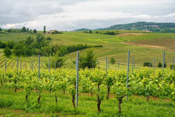 Αγροτικό Τοπίο Στο Monferrato Μνημείο Παγκόσμιας Κληρονομιάς Της Unesco Κοντά — Φωτογραφία Αρχείου