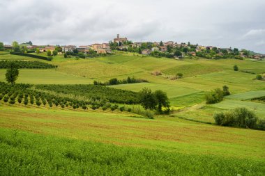 Monferrato 'daki kırsal alan, Unesco Dünya Mirası Bölgesi. Cuccaro yakınlarındaki üzüm bağı, Alessandria ili, Piedmont, İtalya