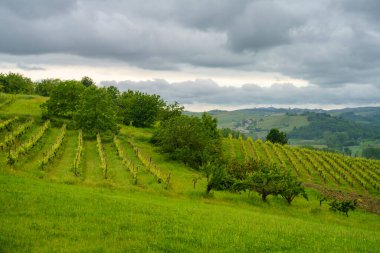 Monferrato, Unesco Dünya Mirası Bölgesi, Camagna, Alessandria ili, Piedmont, İtalya