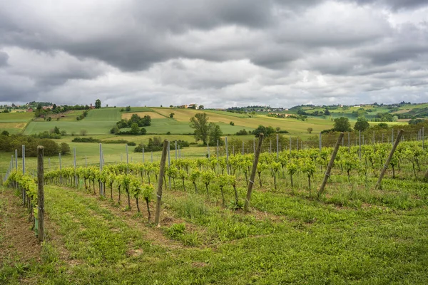 Paesaggio Rurale Nel Monferrato Patrimonio Dell Umanità Unesco Vicino Calliano — Foto Stock