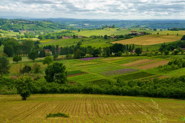 Landsbygdslandskap Monferrato Unescos Världsarv Nära Calliano Asti Provinsen Piemonte Italien — Stockfoto