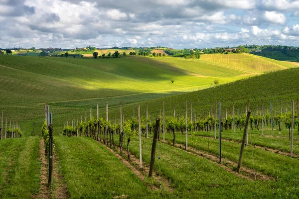 Krajobraz Wiejski Monferrato Unesco Lista Światowego Dziedzictwa Unesco Pobliżu Calliano — Zdjęcie stockowe