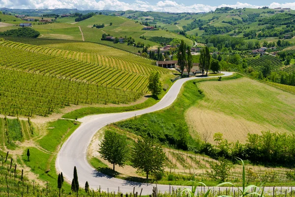 Rural Landscape Vineyards Springtime Langhe Cuneo Province Piedmont Italy Unesco — Stock Photo, Image