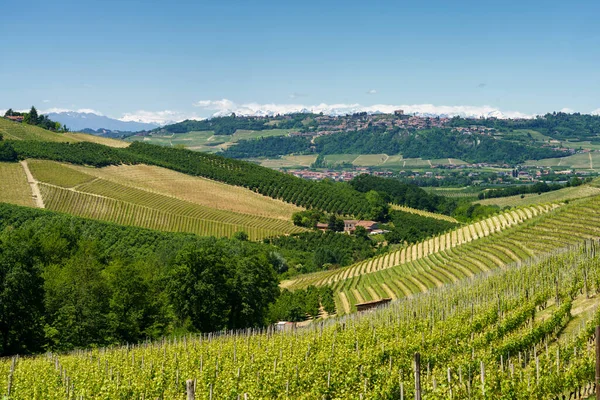 Paisaje Rural Viñedos Primavera Langhe Provincia Cuneo Piamonte Italia Patrimonio —  Fotos de Stock