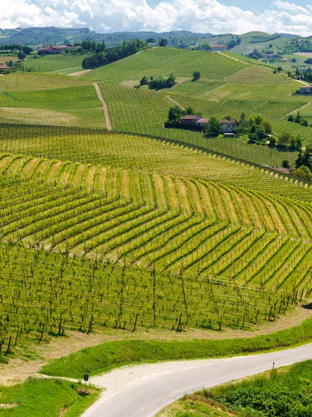 Paisaje Rural Viñedos Primavera Langhe Provincia Cuneo Piamonte Italia Patrimonio —  Fotos de Stock