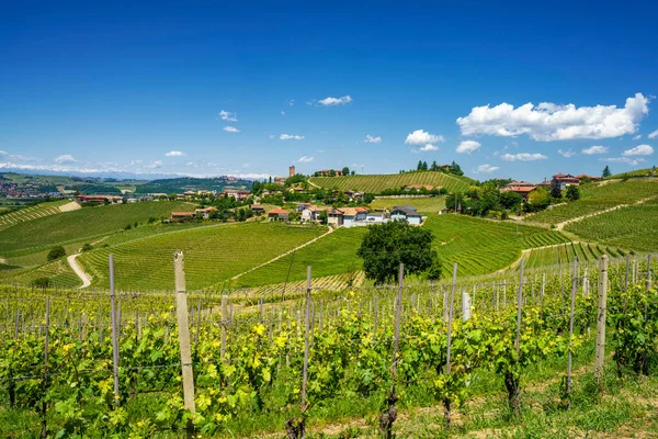 Landsbygdslandskap Våren Langhe Cuneoprovinsen Piemonte Italien Unescos Världsarv — Stockfoto