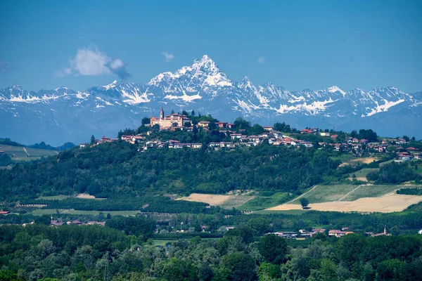 Paysage Rural Vignobles Printemps Langhe Province Cuneo Piémont Italie Site — Photo
