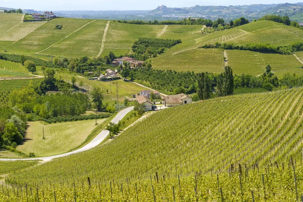 Bahar Zamanı Langhe Cuneo Eyaleti Piedmont Talya Unesco Dünya Mirası — Stok fotoğraf