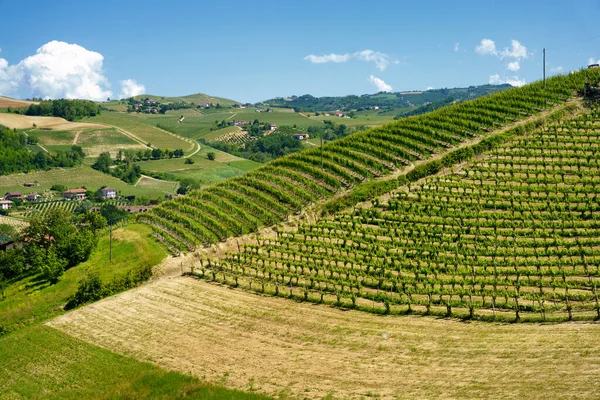 Landsbygdslandskap Våren Langhe Cuneoprovinsen Piemonte Italien Unescos Världsarv — Stockfoto