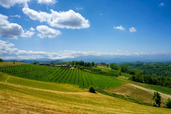 Landelijk Landschap Lente Langhe Bij Dogliani Provincie Cuneo Piemonte Italië Stockfoto
