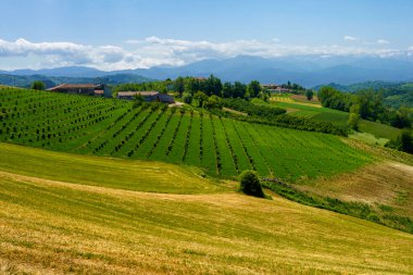 Dogliani, Cuneo ili yakınlarındaki Langhe 'de kırsal alan, Piedmont, İtalya, Unesco Dünya Mirası Bölgesi.