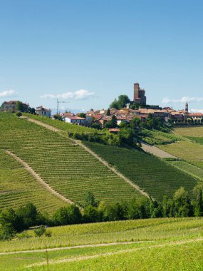 Bahar zamanı Langhe 'de Alba, Cuneo ili, Piedmont, İtalya, Unesco Dünya Mirası Bölgesi yakınlarındaki üzüm bağlarının kırsal manzarası.