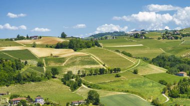 Bahar zamanı Langhe 'de Alba, Cuneo ili, Piedmont, İtalya, Unesco Dünya Mirası Bölgesi yakınlarındaki üzüm bağlarının kırsal manzarası.