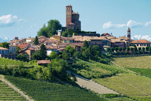 Vidéki Táj Szőlőültetvények Tavasszal Langhe Közelében Alba Cuneo Tartomány Piedmont — Stock Fotó