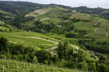 Diano, Cuneo vilayeti yakınlarındaki Langhe 'de kırsal alan, Piedmont, İtalya, Unesco Dünya Mirası Bölgesi.