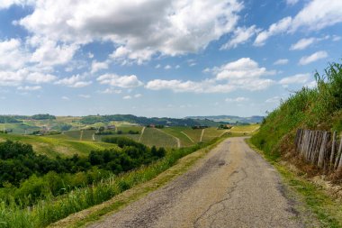 Dogliani, Cuneo ili yakınlarındaki Langhe 'de kırsal alan, Piedmont, İtalya, Unesco Dünya Mirası Bölgesi.