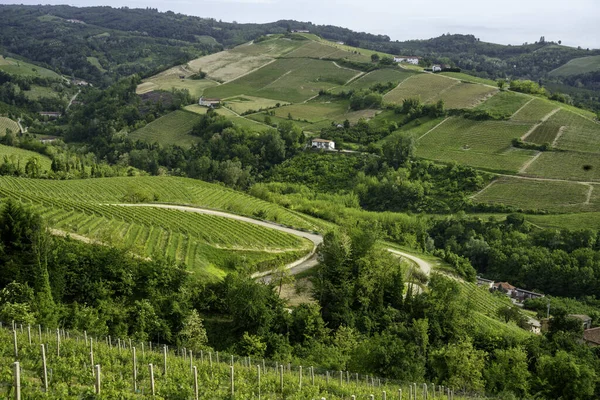 Venkovská Krajina Jaře Langhe Diana Provincie Cuneo Piemont Itálie Památky — Stock fotografie