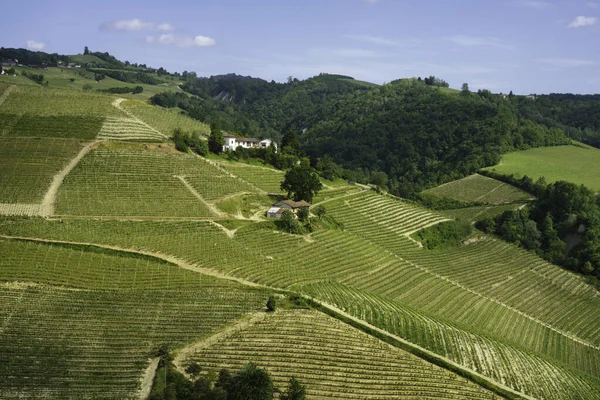Landskap Våren Langhe Nära Diano Cuneoprovinsen Piemonte Italien Unescos Världsarv — Stockfoto