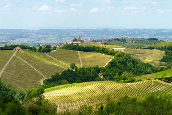 Krajobraz Wiejski Wiosną Langhe Pobliżu Dogliani Prowincja Cuneo Piemont Włochy — Zdjęcie stockowe