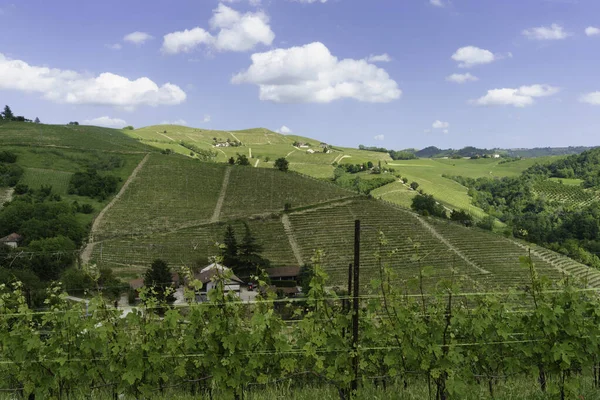 Venkovská Krajina Jaře Langhe Dogliani Provincie Cuneo Piemont Itálie Památky — Stock fotografie