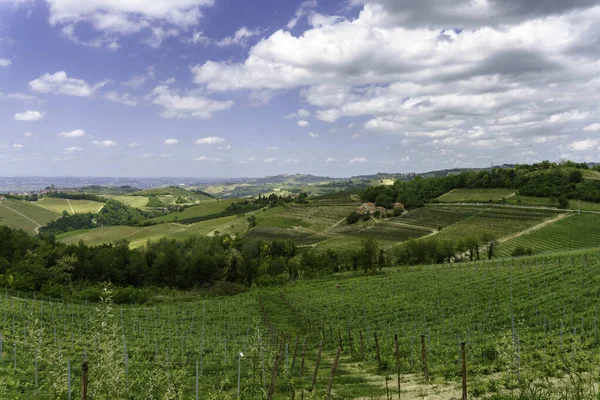 Landskap Våren Langhe Nära Dogliani Cuneo Provinsen Piemonte Italien Unesco — Stockfoto