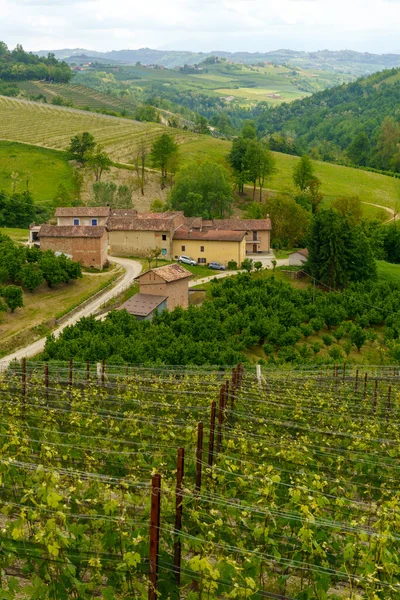 Venkovská Krajina Jaře Langhe Dogliani Provincie Cuneo Piemont Itálie Památky — Stock fotografie