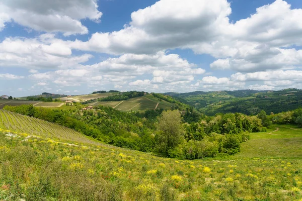 Сельский Пейзаж Весной Ланге Недалеко Дольяни Провинция Кунео Пьемонт Италия — стоковое фото