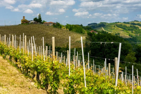 Dogliani Cuneo Ili Yakınlarındaki Langhe Kırsal Alan Piedmont Talya Unesco — Stok fotoğraf