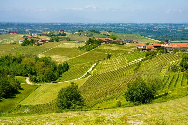 Ländliche Landschaft Frühling Langhe Bei Dogliani Provinz Cuneo Piemont Italien — Stockfoto