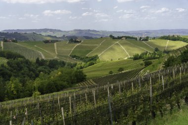 Dogliani, Cuneo ili yakınlarındaki Langhe 'de kırsal alan, Piedmont, İtalya, Unesco Dünya Mirası Bölgesi.