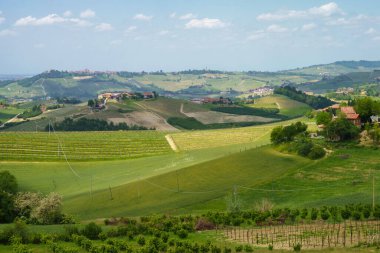 Dogliani, Cuneo ili yakınlarındaki Langhe 'de kırsal alan, Piedmont, İtalya, Unesco Dünya Mirası Bölgesi.