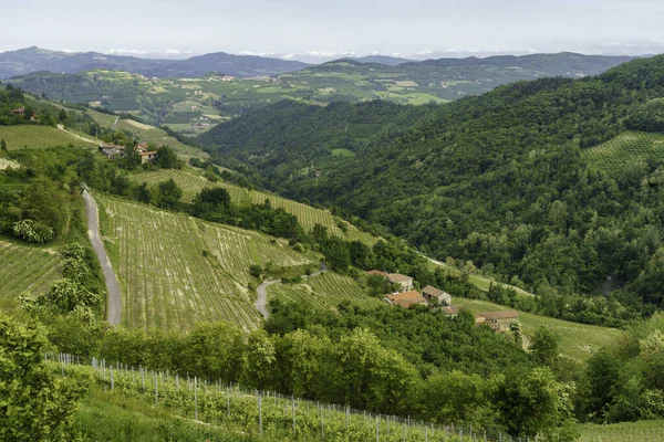 Venkovská Krajina Jaře Langhe Diana Provincie Cuneo Piemont Itálie Památky — Stock fotografie