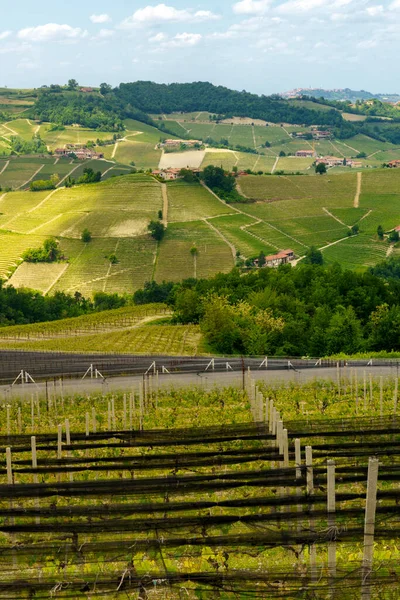 Dogliani, Cuneo ili yakınlarındaki Langhe 'de kırsal alan, Piedmont, İtalya, Unesco Dünya Mirası Bölgesi.
