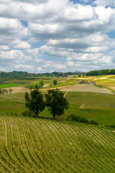 Paisaje Rural Primavera Langhe Cerca Dogliani Provincia Cuneo Piamonte Italia —  Fotos de Stock