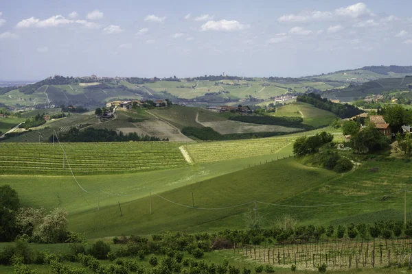 Landskap Våren Langhe Nära Dogliani Cuneo Provinsen Piemonte Italien Unesco — Stockfoto