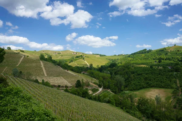 Dogliani Cuneo Ili Yakınlarındaki Langhe Kırsal Alan Piedmont Talya Unesco Telifsiz Stok Fotoğraflar