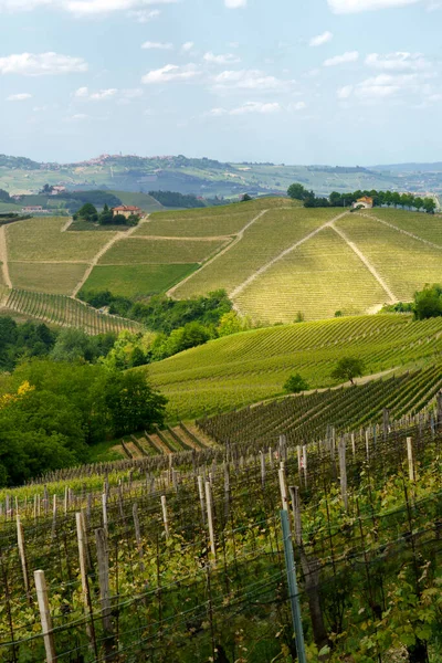 Krajobraz Wiejski Wiosną Langhe Pobliżu Dogliani Prowincja Cuneo Piemont Włochy — Zdjęcie stockowe