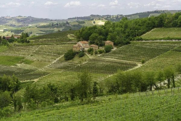 Venkovská Krajina Jaře Langhe Dogliani Provincie Cuneo Piemont Itálie Památky — Stock fotografie