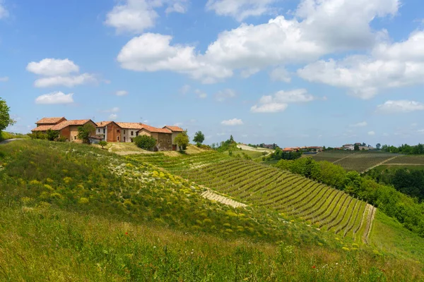 Paysage Rural Printemps Langhe Près Dogliani Province Cuneo Piémont Italie — Photo