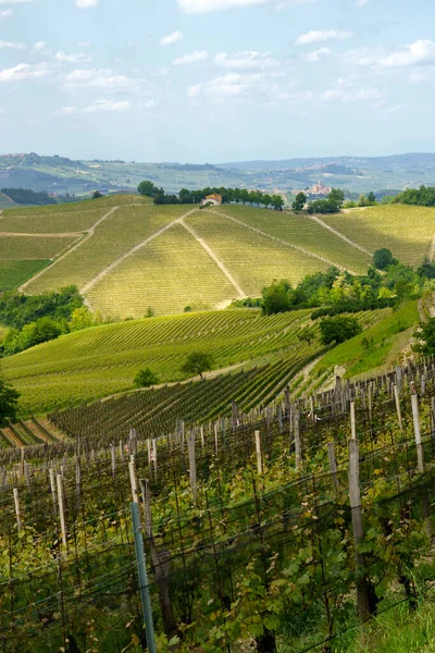 Krajobraz Wiejski Wiosną Langhe Pobliżu Dogliani Prowincja Cuneo Piemont Włochy — Zdjęcie stockowe