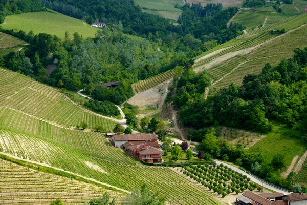 Krajobraz Wiejski Wiosną Langhe Koło Diano Prowincja Cuneo Piemont Włochy — Zdjęcie stockowe