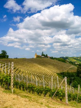 Dogliani, Cuneo ili yakınlarındaki Langhe 'de kırsal alan, Piedmont, İtalya, Unesco Dünya Mirası Bölgesi.