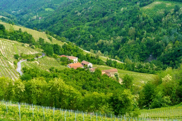 Venkovská Krajina Jaře Langhe Diana Provincie Cuneo Piemont Itálie Památky — Stock fotografie
