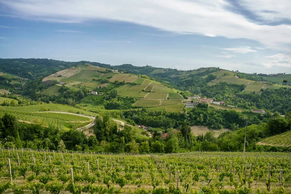 Venkovská Krajina Jaře Langhe Diana Provincie Cuneo Piemont Itálie Památky — Stock fotografie